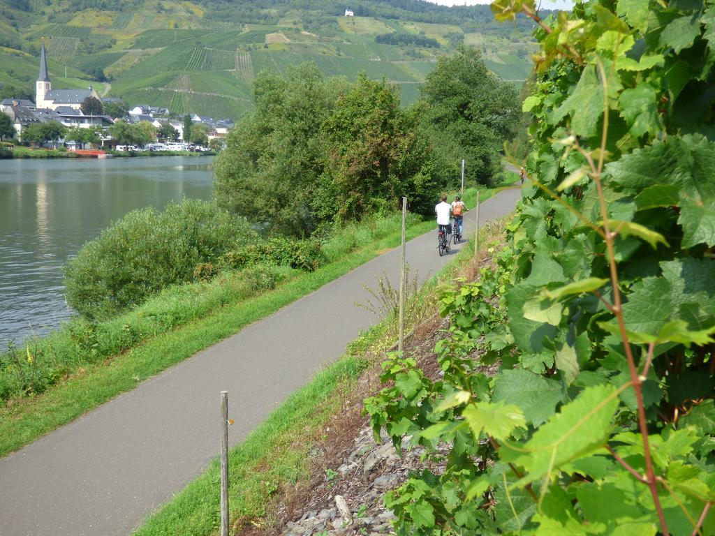 Sonnenhaus Ferienwohnungen Verbandsgemeinde Verbandsgemeinde Traben-Trarbach Buitenkant foto